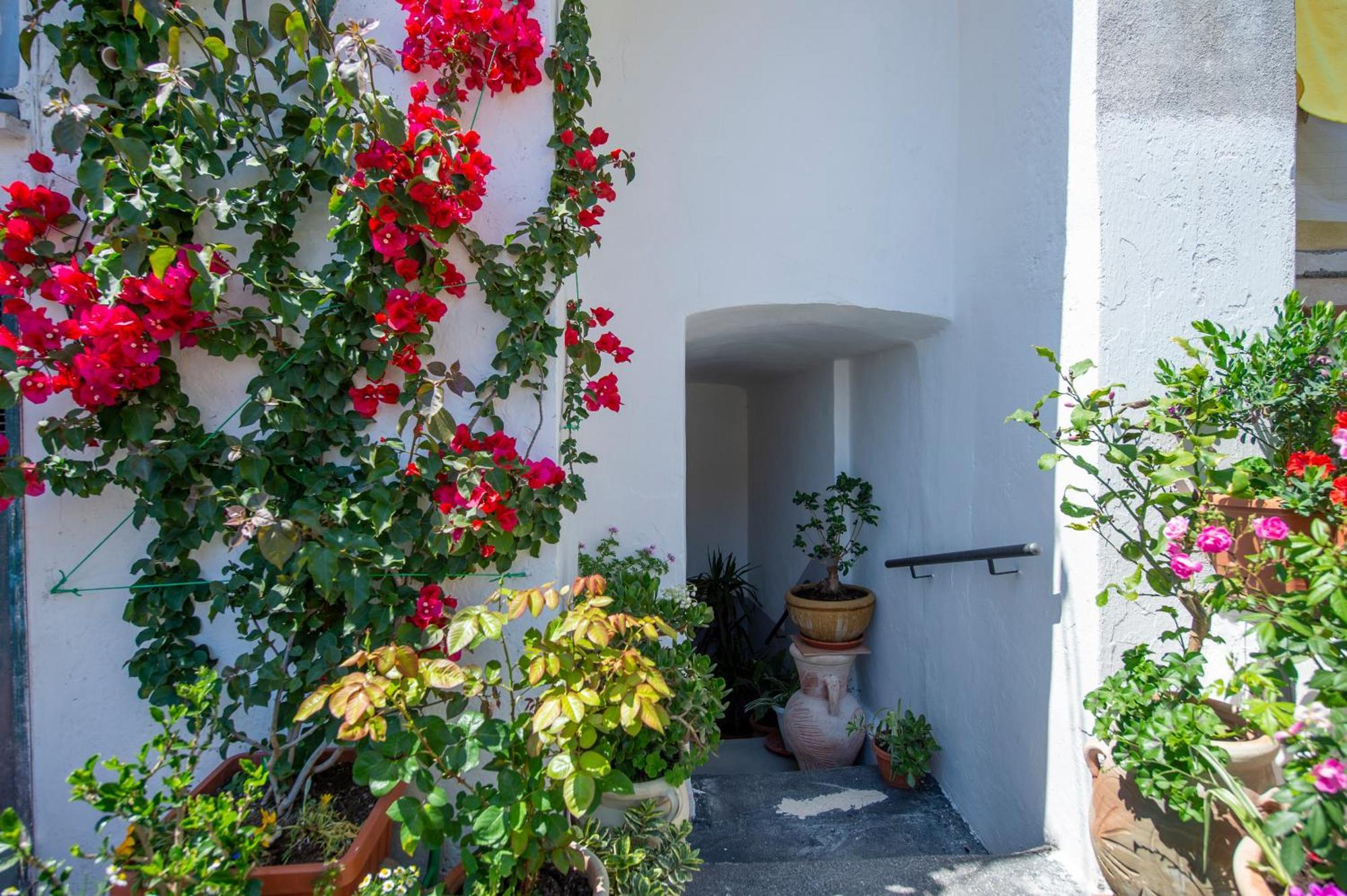 Casalina Amalfi Center Apartment Luaran gambar